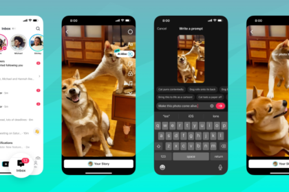 Source of Image: TikTok
